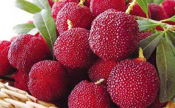 �и��ܳ���÷�� ����÷Ҫע��ʲô����